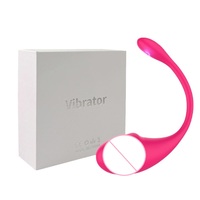 Oeuf vibrant télécommandé à succès avec stimulateur clitoridien portable pour femme et couple, jouet sexuel à porter dans les culottes pour stimulation du point G