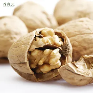 Taschen 5kg China günstige Preise roh Papier Walnuss schale geschälte Trocken früchte Walnüsse Lieferant