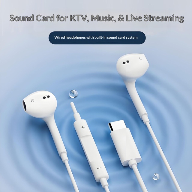 2026 New Type-C Wired Earphones 360 Surround Stereo Noise Reduction Microphone Monitor Ear Return KTV Mode Built-in Sound Card