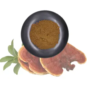 Extrato orgânico de cogumelo reishi de alta qualidade, extrato orgânico de Ganoderma lucidum para venda
