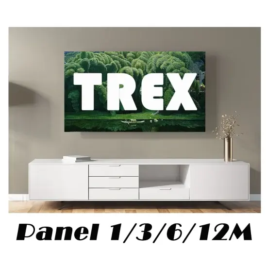 Trex IPTV Box Provider 4k pannello rivenditore M3u Test gratuito per Set-Top Box professionale più intelligente