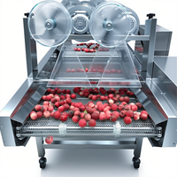 Automatische Doorlopende Groente Fruit Wasmachine Voor Appels Wortelen Aardappelen Industriële Voedselverwerkende Fabriek Motormotor Kern