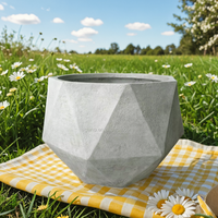 Pot de fleurs chinois pour l'extérieur, pot en béton pour le jardin, de haute qualité
