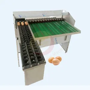 Utilizado en granja avícola de huevos de gallina 4500 pcs/h equipo de clasificación de huevos, máquina clasificadora de huevos a la venta