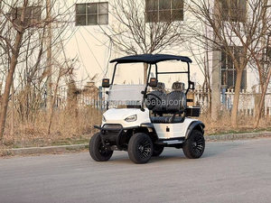 Carrito de Golf Todoterreno con Batería Potente y Conducción Suave - Product Image 2
