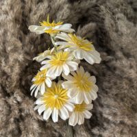Épissage Melon Graine Fleur Usine En Gros Graines De Tournesol Plantation Fleur Fleur Sec Fleur Cadeau pour La Maison/Arrangement De Mariage