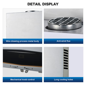 Montado En Pared Tipo Chimenea Calentador <span class=keywords><strong>De</strong></span> Agua a Gas Natural 10L Gran Capacidad Calefaccion <span class=keywords><strong>De</strong></span> Toda <span class=keywords><strong>La</strong></span> <span class=keywords><strong>Casa</strong></span> Ahorro <span class=keywords><strong>De</strong></span> Energia - Product Image 2