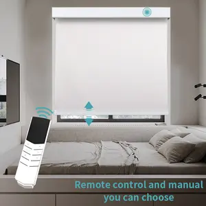 Window Blinds Cordless Roller Blinds Motorized Window Motor Remote Roller Blind Shades Manual And Motorized Double Control Smar