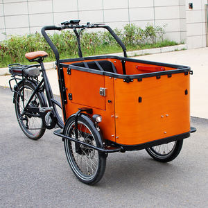 Tricycle adulte hollandais pas cher, classique personnalisé, <span class=keywords><strong>vélo</strong></span> <span class=keywords><strong>cargo</strong></span> électrique à trois roues, <span class=keywords><strong>vélo</strong></span> <span class=keywords><strong>cargo</strong></span> électrique, <span class=keywords><strong>vélo</strong></span> électrique avec housse de pluie - Product Image 1