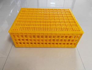 9 Cages de Transport de poules en <span class=keywords><strong>plastique</strong></span>, casier de Transport de volaille, meilleure vente - Product Image 5