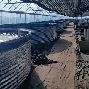 Equipo de Acuicultura Interior Personalizado, Sistema de Cultivo de Peces y Camarones con Recirculación, Acero Galvanizado en Caliente, Capacidad de 5m-1000m - Product Image 4