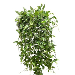 Vignes artificielles de clématites Meng Jie 120 cm, feuillage en plastique, décoration murale, plante verte pour la maison - Product Image 5
