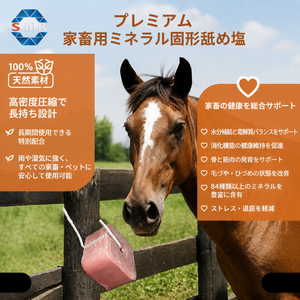 Bloc de sel minéral Gold Coat pour animaux, blocs à lécher pour bovins, blocs minéraux, blocs de sel à lécher pour moutons, vaches, cerfs, chevaux - Product Image 2
