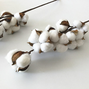 Wholesale 8 Heads Long <strong>Stem</strong> Dried Flowers Artificial <strong>Cotton</strong> for Wedding Home Decoration - Product Image 3