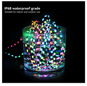 Phòng ngủ đèn <span class=keywords><strong>LED</strong></span> tự làm chuỗi nghệ thuật <span class=keywords><strong>LED</strong></span> chiếu sáng kỳ nghỉ ngoài trời 4pin dây màu đen bên trang trí nội thất hạt giống điểm ảnh ánh sáng - Product Image 4