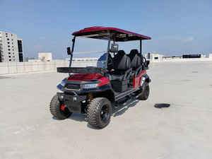 Nuevo Diseño 2026, Carritos de Golf Mini de Lujo Personalizados, Vehículos de Calle de 4 y 6 Plazas - Product Image 2