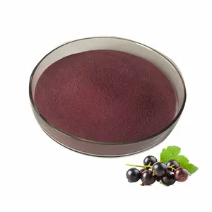 عالية الجودة الطبيعية Blackcurrant Anthocyanins 25% مسحوق مستخلص عنب الثعلب