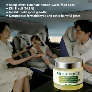 Ambientador Sólido Ecológico para Eliminar el Formaldehído, el Moho y el Mal Olor en el Automóvil, la Casa, el Armario y el Baño - Product Image 6