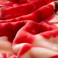 Herbst-Winter Doppellagige Raschel-Polyester Verdickte Coral-Fleece Decke, Anpassbar für Hochzeiten und Gruppenbestellungen