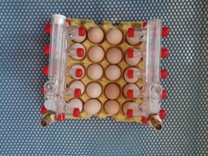 Macchina automatica per il confezionamento portatile ad aspirazione delle uova sottovuoto automatico per la raccolta delle uova e il confezionamento della macchina per la raccolta delle uova - Product Image 3