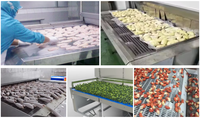 Industriële vriesapparatuur voor fruit en groenten, 1000 kg/uur, automatische, hoogwaardige IQF-snelvriesinstallatie met snelvriestunnelmotor