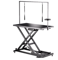 Table de toilettage électrique de luxe personnalisée, réglable en hauteur, en métal, pour chiens et chats, avec fonction sèche-cheveux