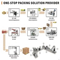 Solución de Diseño de Línea de Empaquetado Llave en Mano para Automatización de Fábrica |   Paletización, Embalaje en Cajas, Transporte y Integración de Robótica Inteligente