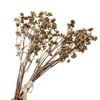 AYOYO Plantes séchées Millet Fruit Fleur Couleur naturelle pour décorations de bougies et décorations pour la maison eucalyptus fruit