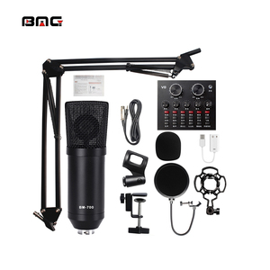 Equipo de <span class=keywords><strong>audio</strong></span> profesional de alta calidad BMG, equipo de grabación de <span class=keywords><strong>audio</strong></span> adecuado para micrófonos KTV - Product Image 3