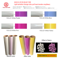 Htv Textil changement de couleur sensible à la lumière recyclable paquet moussant presse à chaud Flex Vinilo 3D Htv bouffée vinyle de transfert de chaleur