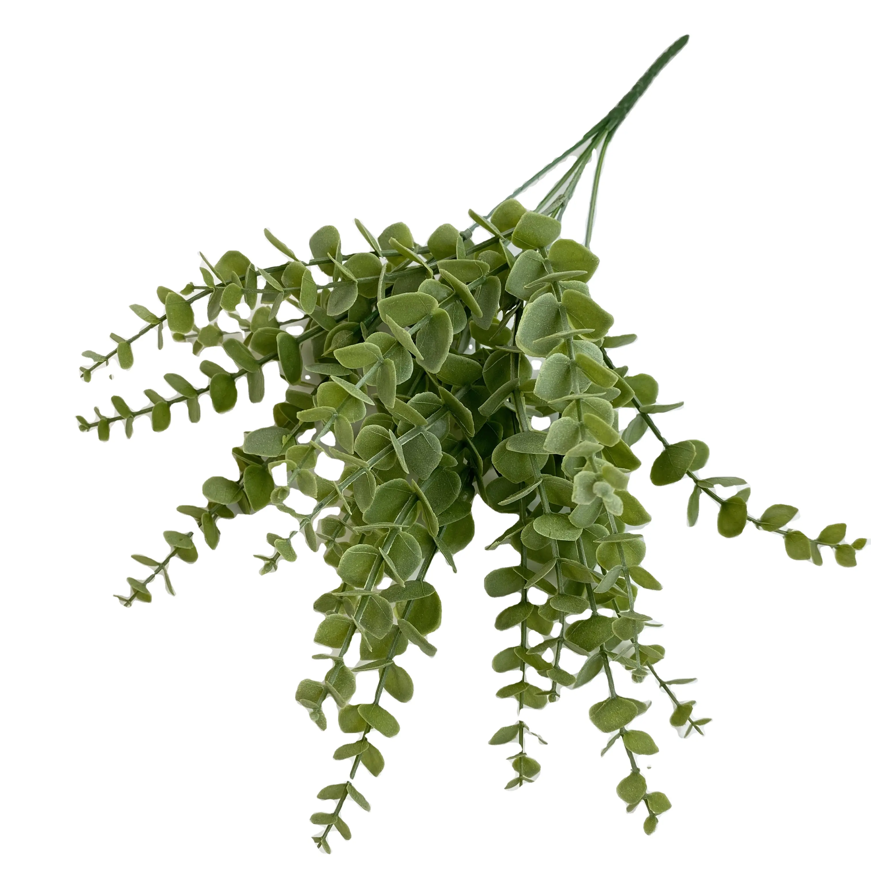 ユーカリリトルユーカリの葉JH工場新人気商品格安美容植物