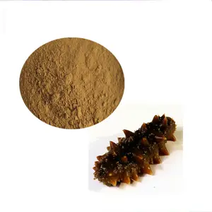 Sea Cucumber Natural Extract Sea Cucumber Peptide Powder Hot Sell Sea Cucumber Powder Extract