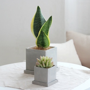 Nordico stile semplice decorazione da tavolo per interni forma quadrata fioriera <span class=keywords><strong>cemento</strong></span> piante succulente <span class=keywords><strong>vasi</strong></span> con foro - Product Image 2