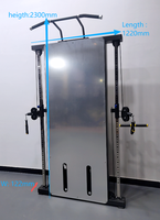 DINUO Appareil de musculation multifonctionnel sur pied avec double pile de poids, barre de traction, poulie à câble réglable, charge maximale 300 kg, pour salle de sport à domicile