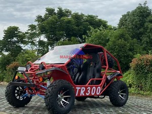 Go Kart a Gasolina, Buggy para Adultos y Niños - Product Image 2