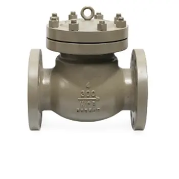 Double Swing Check Valve Industrial Control Valves