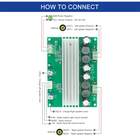 Module amplificateur audio stéréo TPA3116D2 100W+100W haute puissance DIY Classe D DC7V-24V