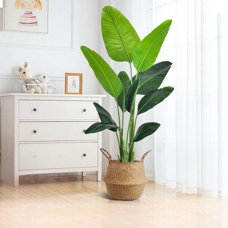 160cm With woven basket