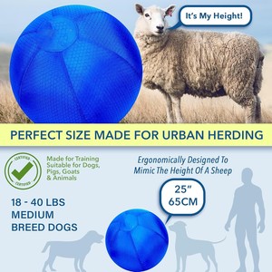 Vente en gros 18 "Collie Balls pour Australian Shepard Bétail Chiens Cheval Grand Entraînement Balle <span class=keywords><strong>Chien</strong></span> Troupeau Jouet Balle - Product Image 6