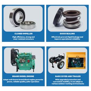 Pompe à eau agricole haute pression de 12 pouces, moteur diesel 16 ch pour pompe d'irrigation à débit élevé - Product Image 3