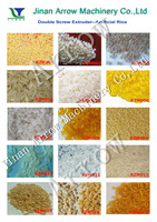 Ligne de production de riz nutritif à haute capacité, machine de fabrication de riz enrichi pour les produits céréaliers Frk