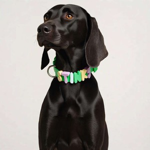 <span class=keywords><strong>Collar</strong></span> de Silicona PVC Personalizado de Fábrica OEM, de Lujo, Impermeable, con Letras, Accesorios para Perros y Gatos - Product Image 3