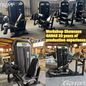 GANAS Nouveau Design Appareil de Fitness Commercial à Poids Fixes pour la Rotation du Torse et des Abdos - Product Image 4