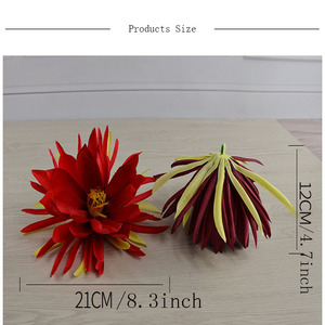 Nouvelles plantes enracinées <span class=keywords><strong>de</strong></span> Cereus nocturne premium, orchidée Epiphyllum, cactus orchidée parfumé, <span class=keywords><strong>fleur</strong></span> artificielle pour décoration DIY - Product Image 6