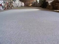 Tapis de maison de bureau simples et modernes faits à la machine Matériau en polyester écologique durable et résistant au feu lavable