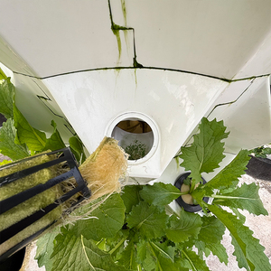 ระบบไฮโดรโปนิกส์ aquaponic สำหรับการเกษตรพร้อมปั๊มหอแนวตั้งทำจากพีวีซีเกรดอาหารสำหรับปลูกผัก - Product Image 5