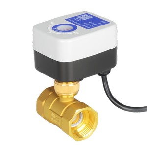 Vanne à boisseau sphérique miniature bidirectionnelle Yueer 1/2 po filetée pour le contrôle de l'eau avec fenêtre de positionnement pour fonctionnement 220V 24V - Product Image 1
