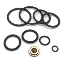 Kits de réparation de têtes de forage OEM manuelles résistantes à l'usure pour outils de forage, pièces de rechange HPHT FKM pour le secteur pétrolier canadien