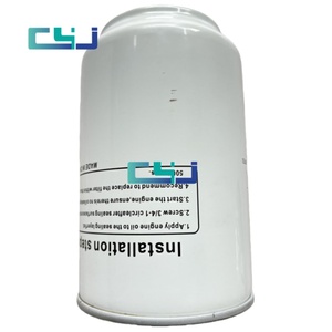Pièces de moteur diesel, filtre à carburant, filtre séparateur d'eau FS19816 5300516 P502643 1094176400 5402703 FS36230, accessoire d'excavateur - Product Image 1