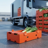 Boîte d'emballage en polypropylène ondulé personnalisée empilable pour okra, résistante aux basses températures, en gros